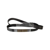 MULTIRIEM DAYCO 8PK1480HD